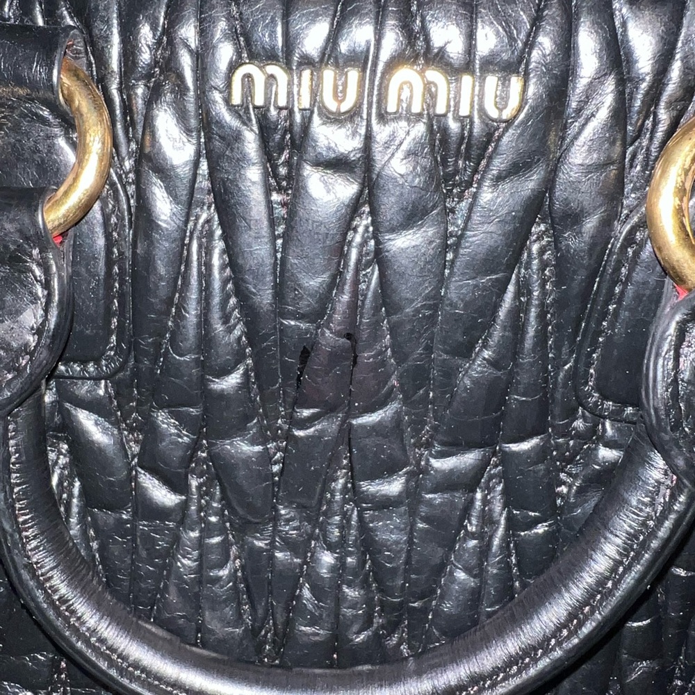 Miu Miu bag